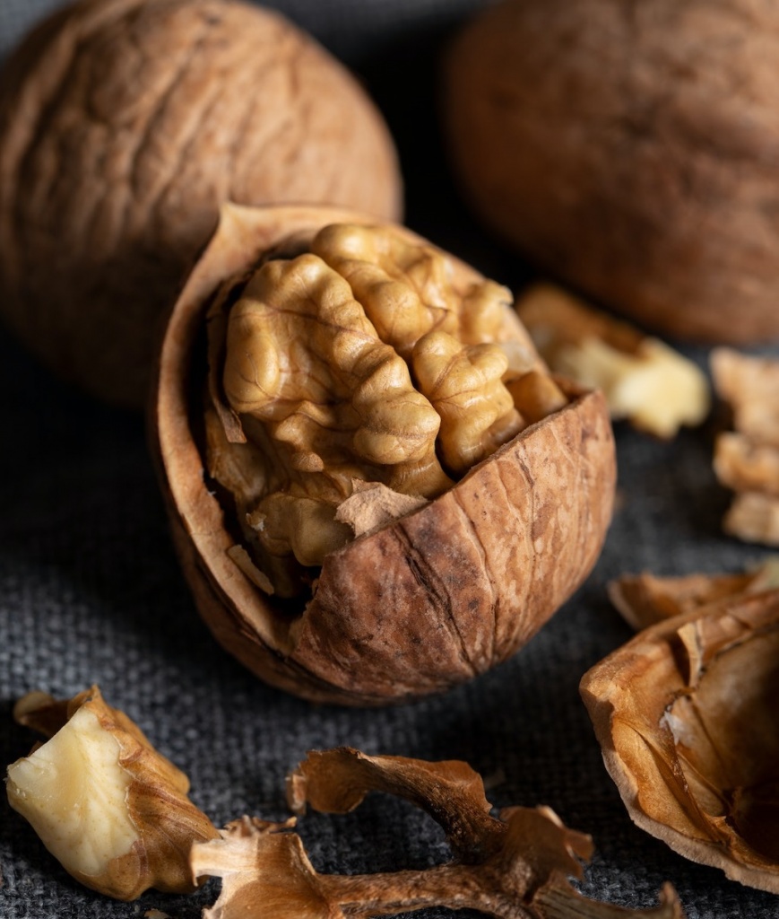 Можно ли есть грецкие орехи при белковой диете