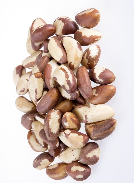 Можно ли есть грецкие орехи при белковой диете